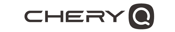 Chery Q Nameplate